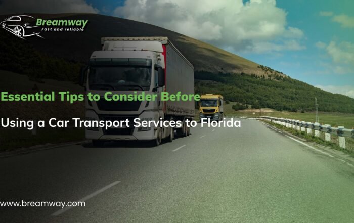 Car Transport Services